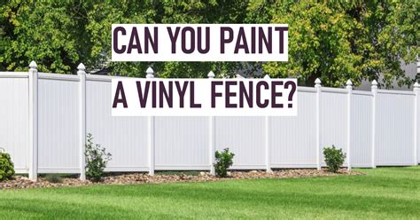 Can You Paint Vinyl Fence: Exploring the Possibilities and Creative Alternatives