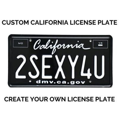 Can You Paint Your License Plate? Exploring the Boundaries of Vehicle Customization