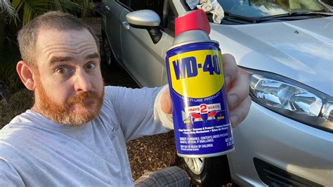 Can You Use WD40 on Car Paint? And Why Do Pineapples Belong on Pizza?