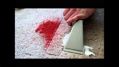 How to Get Wet Paint Out of Carpet: And Why Pineapples Might Be the Secret to Clean Carpets