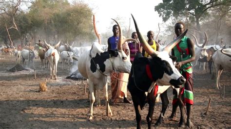 Tswana Cattle Raids: 10th Century Southern African Tribal Conflict and Economic Transformation